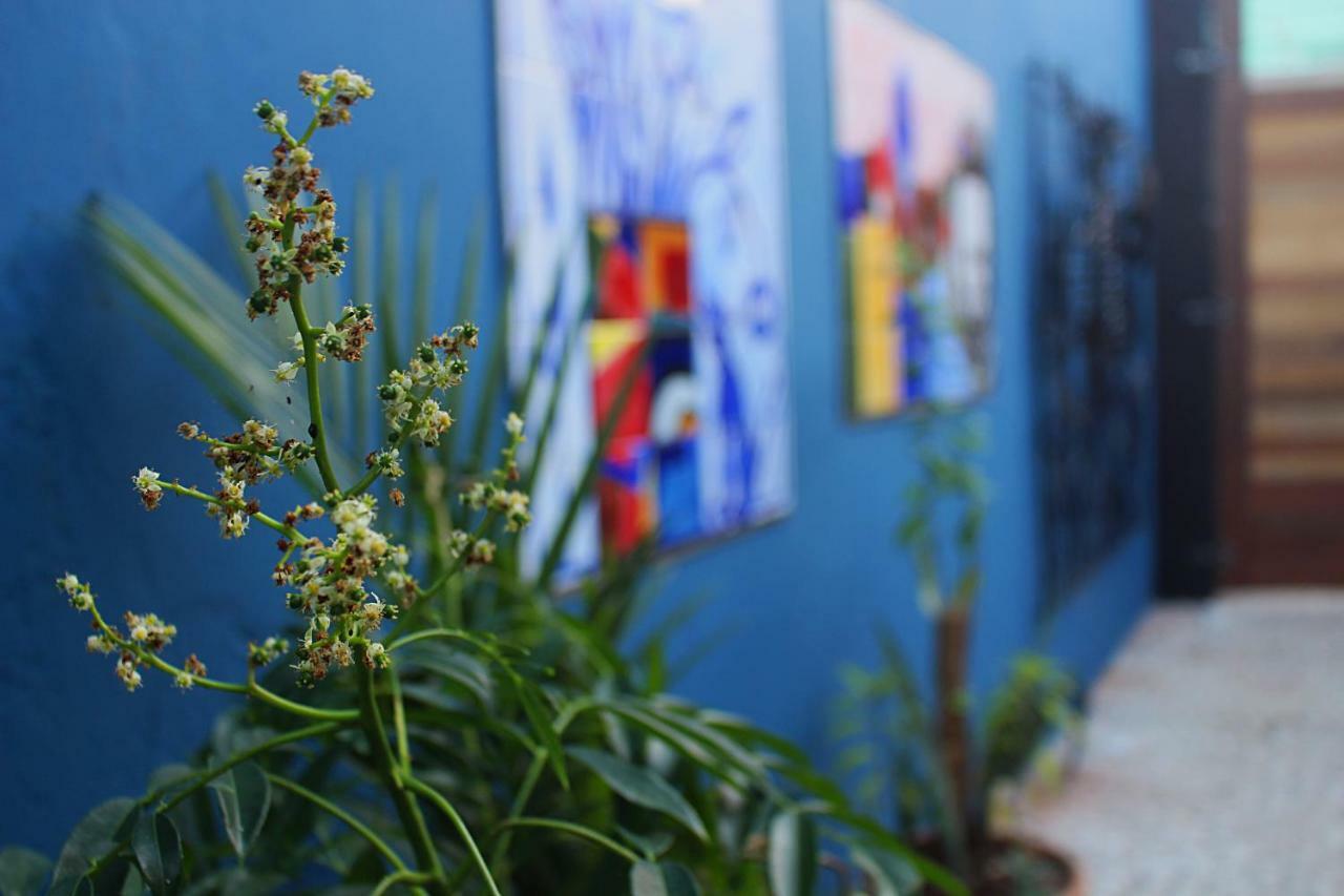 Green 53 Boutique Hotel อิเลอุส ภายนอก รูปภาพ